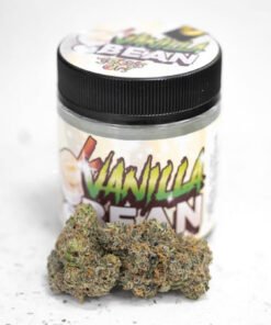 Vanilla Bean Strain For Sale - The Latest Addition To The World of Cannabis.