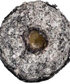 78c91bef1aac4785b4aa1a97929e7167 1 78c91bef1aac4785b4aa1a97929e7167 1