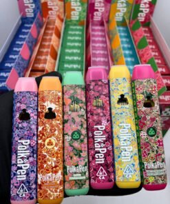 Alternative view of Polkadot Disposable 2G