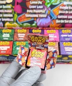 IMG 9496 1 IMG 9496 1