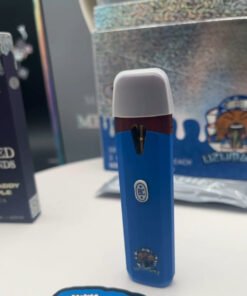 Big Chief 2G Disposable