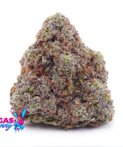 Untitled design 26 1