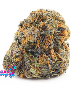 Untitled design 27 1