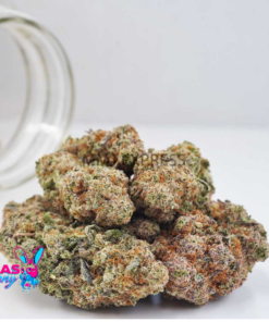 Alternative view of Guava Cake Strain AAA+