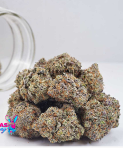 Alternative view of Ice Cream Cookies Strain