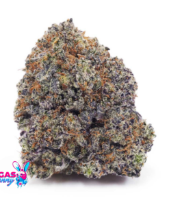 Untitled design 35 1