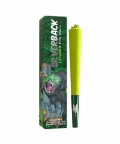 WhatsApp Image 2024 11 01 at 8.37.09 PM 1 1 1