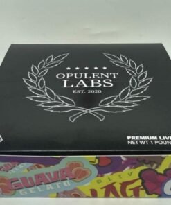 WhatsApp Image 2024 11 28 at 5.53.08 PM 1