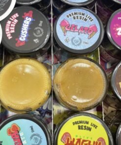 WhatsApp Image 2024 11 28 at 5.53.09 PM 1