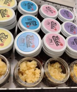 WhatsApp Image 2024 11 30 at 5.06.40 PM 1 1