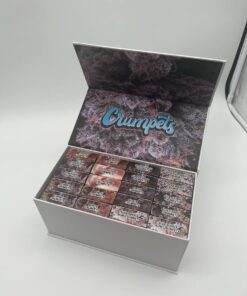 WhatsApp Image 2024 12 28 at 7.29.04 PM 2 1