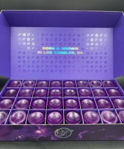 Alternative view of WIZARD TREES – PREMIUM INDOOR DESIGNER FLOWER JARS – 3.5GM