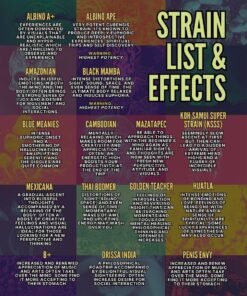 image 1411 1 image 1411 1